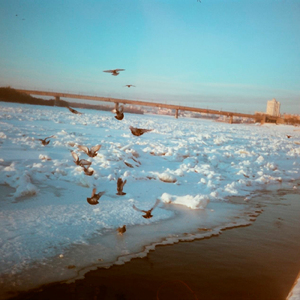 каждый день