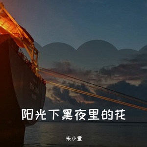 阳光下黑夜里的花