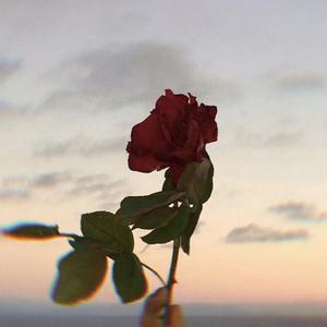 我在沙发吃苹果