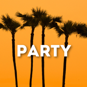 Party (Remix)
