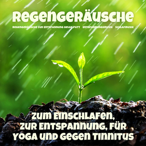 Regengeräusche