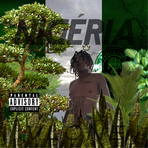 Nigéria 1