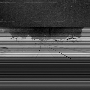 Birds Flying In The Sun Like U Know How