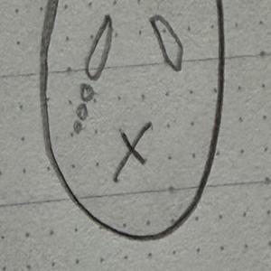 好きになっちゃいけない人