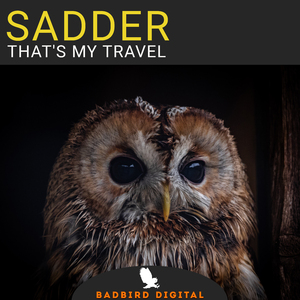 That's My Travel (Mark D Remix)