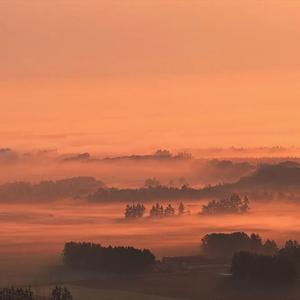 爱过了头心伤透