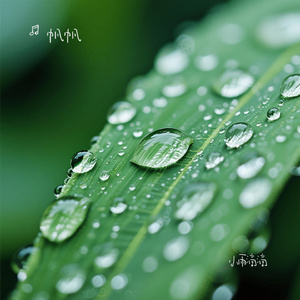 小雨滴滴