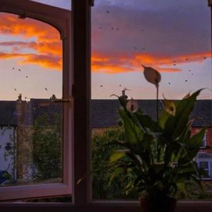 Don't leave me(Prod by BECU BEATZ)