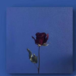 4U（翻自 Vinida (万妮达)）