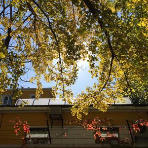 那些花儿（Cover 朴树）