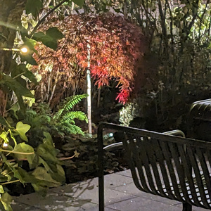 Vitun Pimeää (vägled mig & guide her)