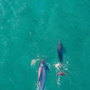 梦飞船-不值得（薯条不沾酱 remix）