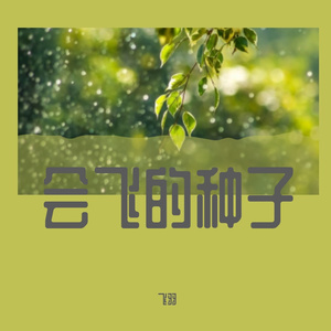 会飞的种子