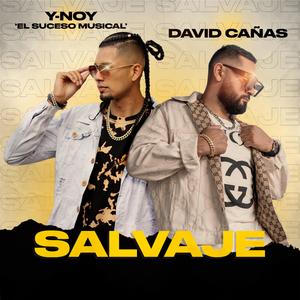 Salvaje (feat. David Cañas)