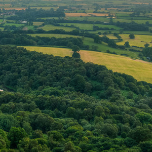 何年东君迟来久
