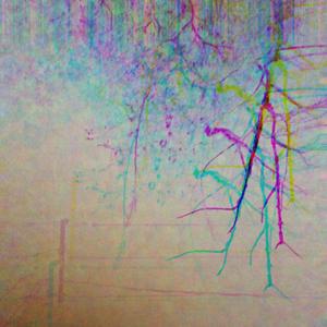 something you probably already thought about