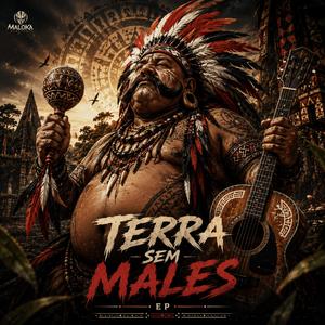 Navegante da Tempestade