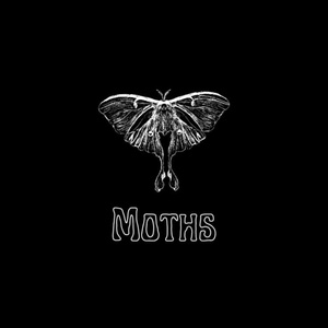 Moths