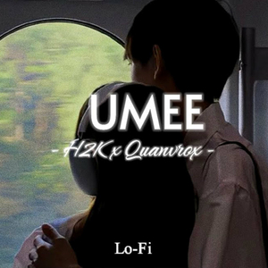 UMEE (Lofi)