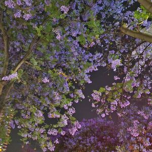 阴天(3D版)1748532384571