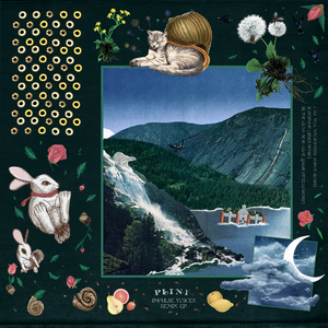 Perfume (Ariza Remix)