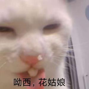 他们可以经常见到你