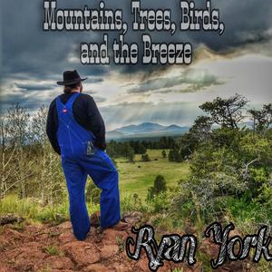 All I Need is These Wings