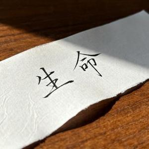 我在纸上写着生命
