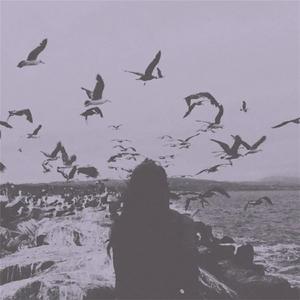 我们终究也成路人了(烟嗓版)