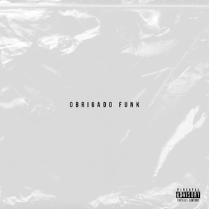 Bota Na Pipokinha (feat. DJ Léo da 17 & MC Pipokinha)