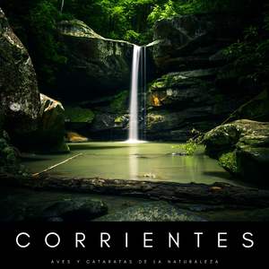 Sonidos Nocturnos De Nieve