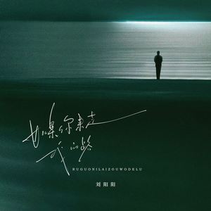 如果你来走我的路