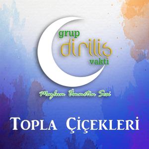 Topla Çiçekleri