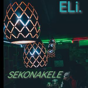 Sekonakele