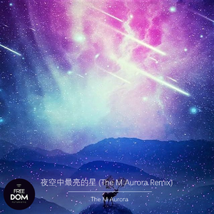 逃跑计划-夜空中最亮的星（The M Aurora remix）