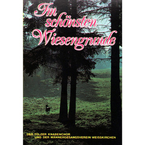 In einem kühlen Grunde