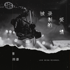 被录制的爱情