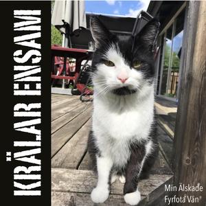 Min Älskade Fyrfota Vän