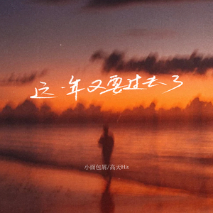 这一年又要过去了