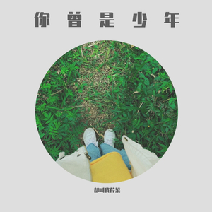 你曾是少年（ukulele弹唱版）