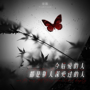 今后爱的人都是别人深爱过的人