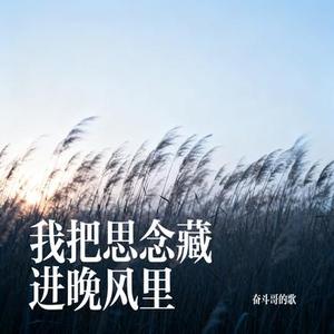 我把思念藏进晚风里