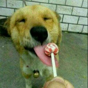 单身狗之圣诞节巨献-如果没有你