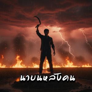 นาบนหลังคน