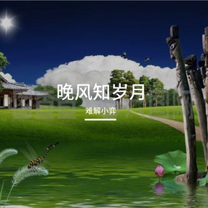 晚风知岁月