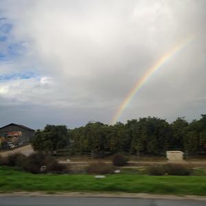 America First (feat. Bastion Cage)