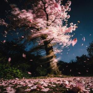 旧梦一场 (Cover 阿悠悠)