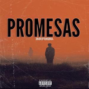 Promesas