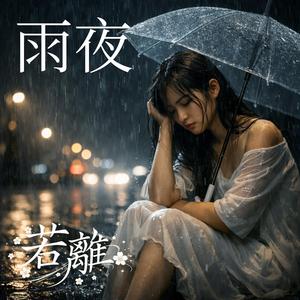 雨夜