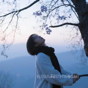 拦不住风雨留不住你  (吉美 Remix)